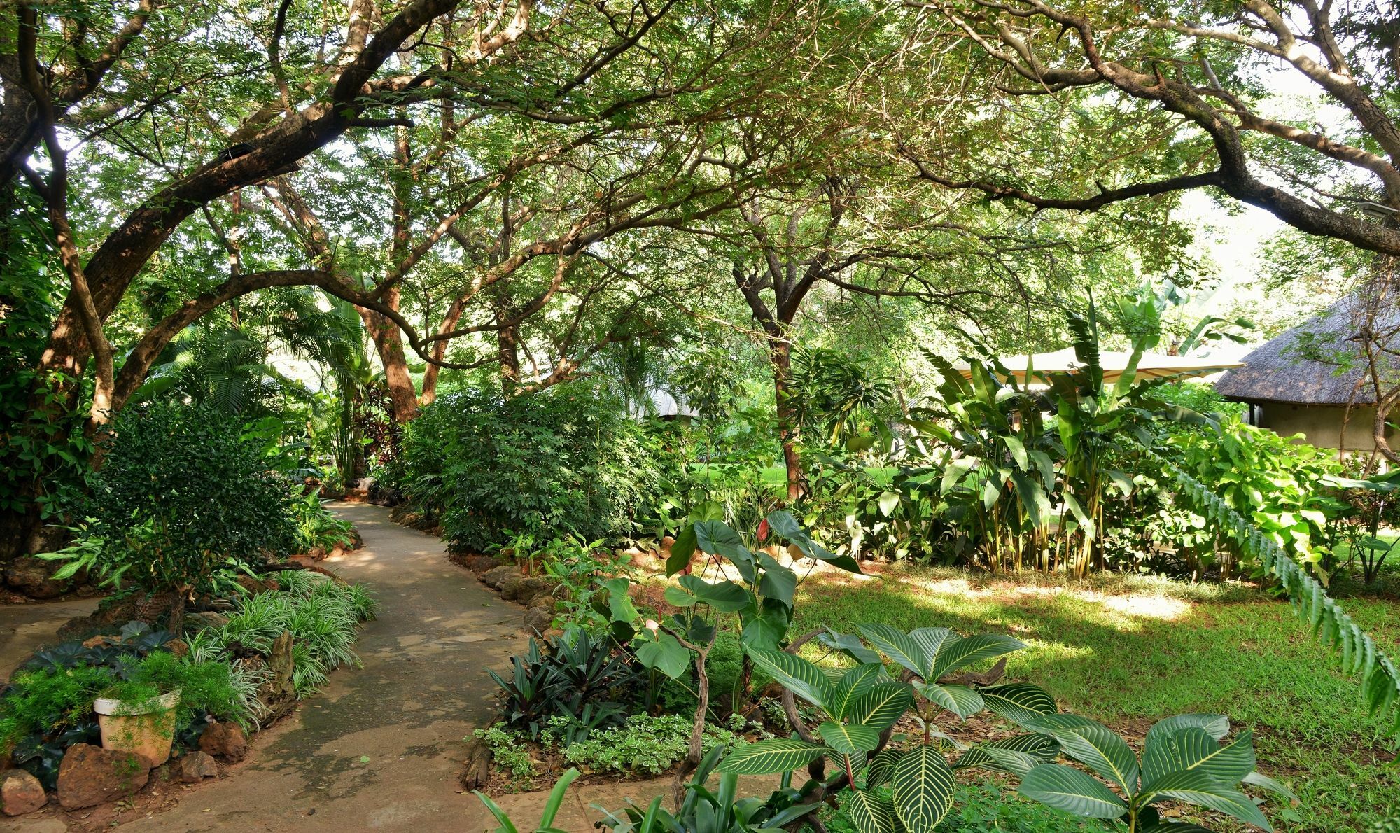 Bayete Guest Lodge Victoria Falls Luaran gambar